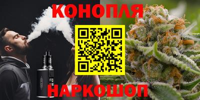 мяу мяу мука Кинель