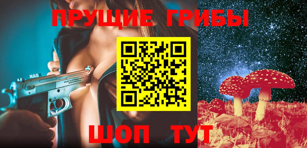 Галлюциногенные грибы Psilocybine cubensis Карталы